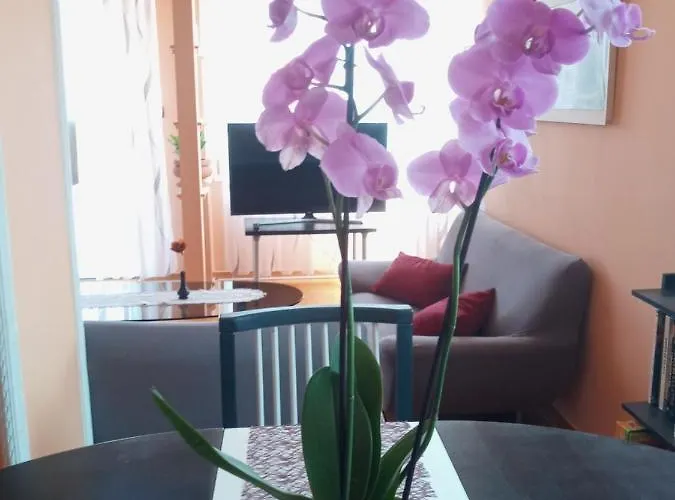 Apartamento Sylvia Balatonalmádi